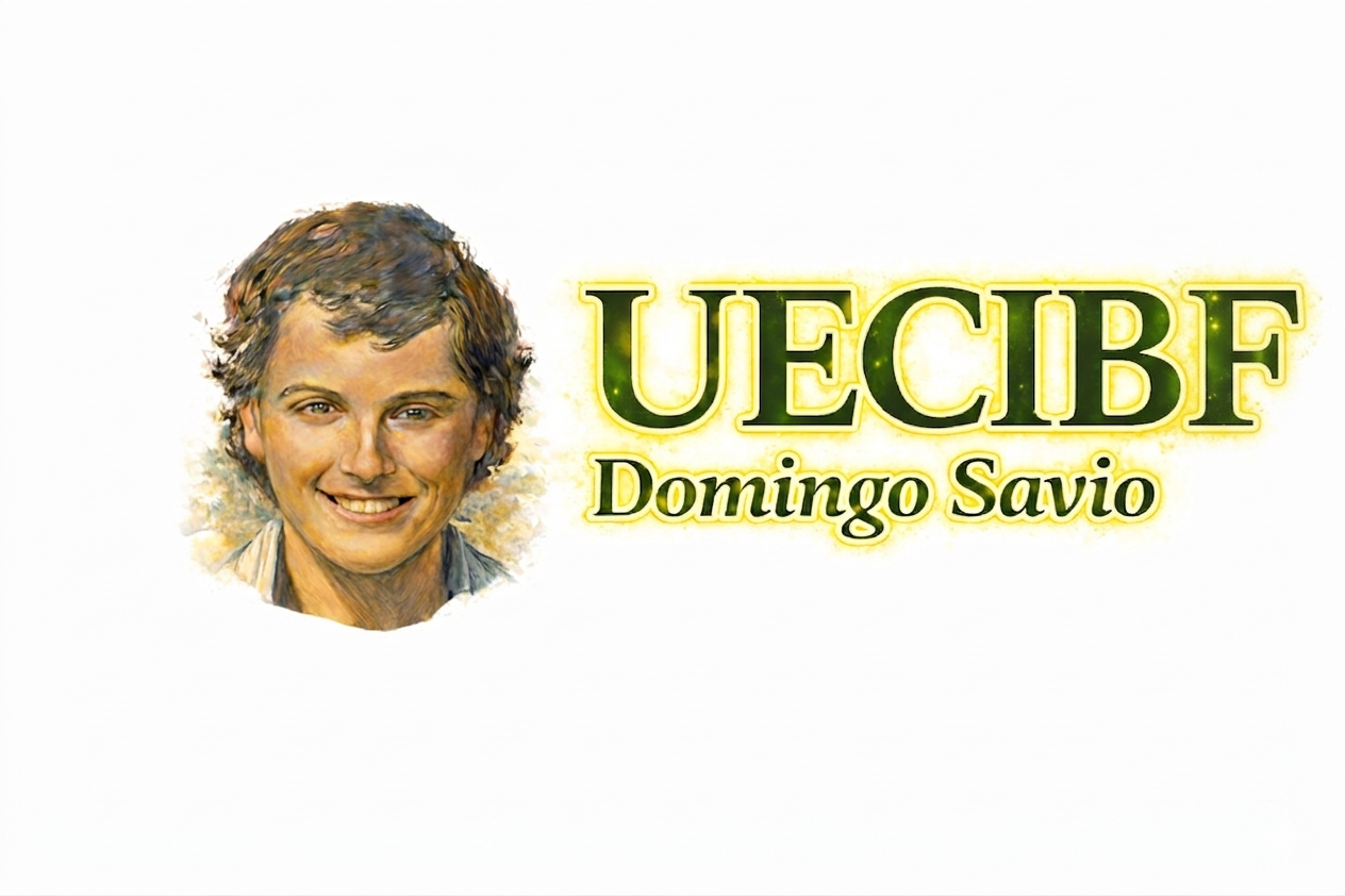 Logo Domingo Savio